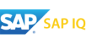 SAP_IQ_770x395-1.png